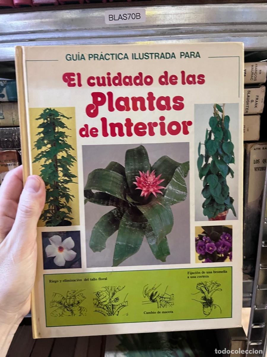 Libros de segunda mano: BLAS70B - Gu&iacute;a pr&aacute;ctica ilustrada para el cuidado de las plantas de interior &rarr; - Foto 1
