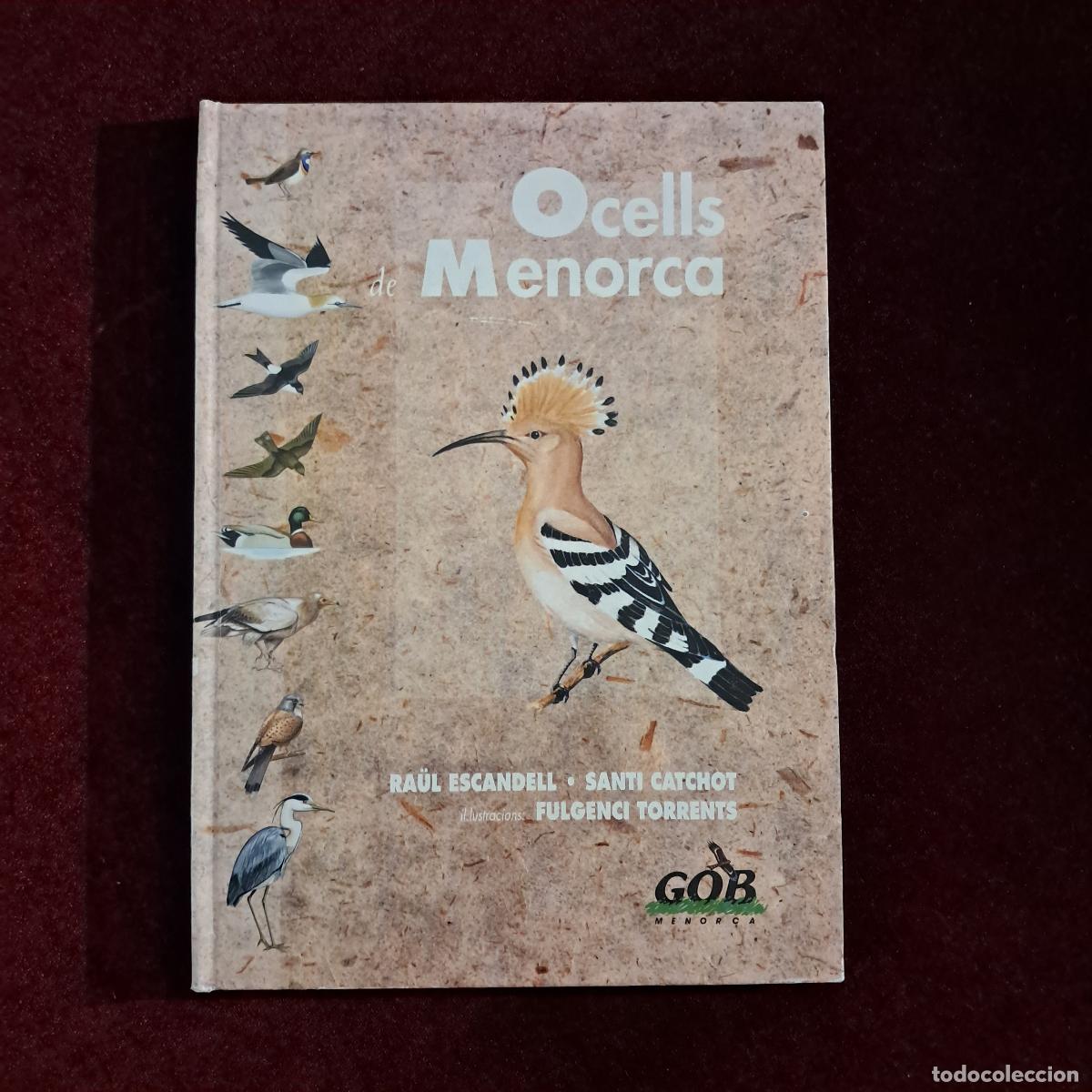 Libros de segunda mano: OCELLS DE MENORCA. Ra&uuml;l Escandell i Santi Catchot. Gob 1994