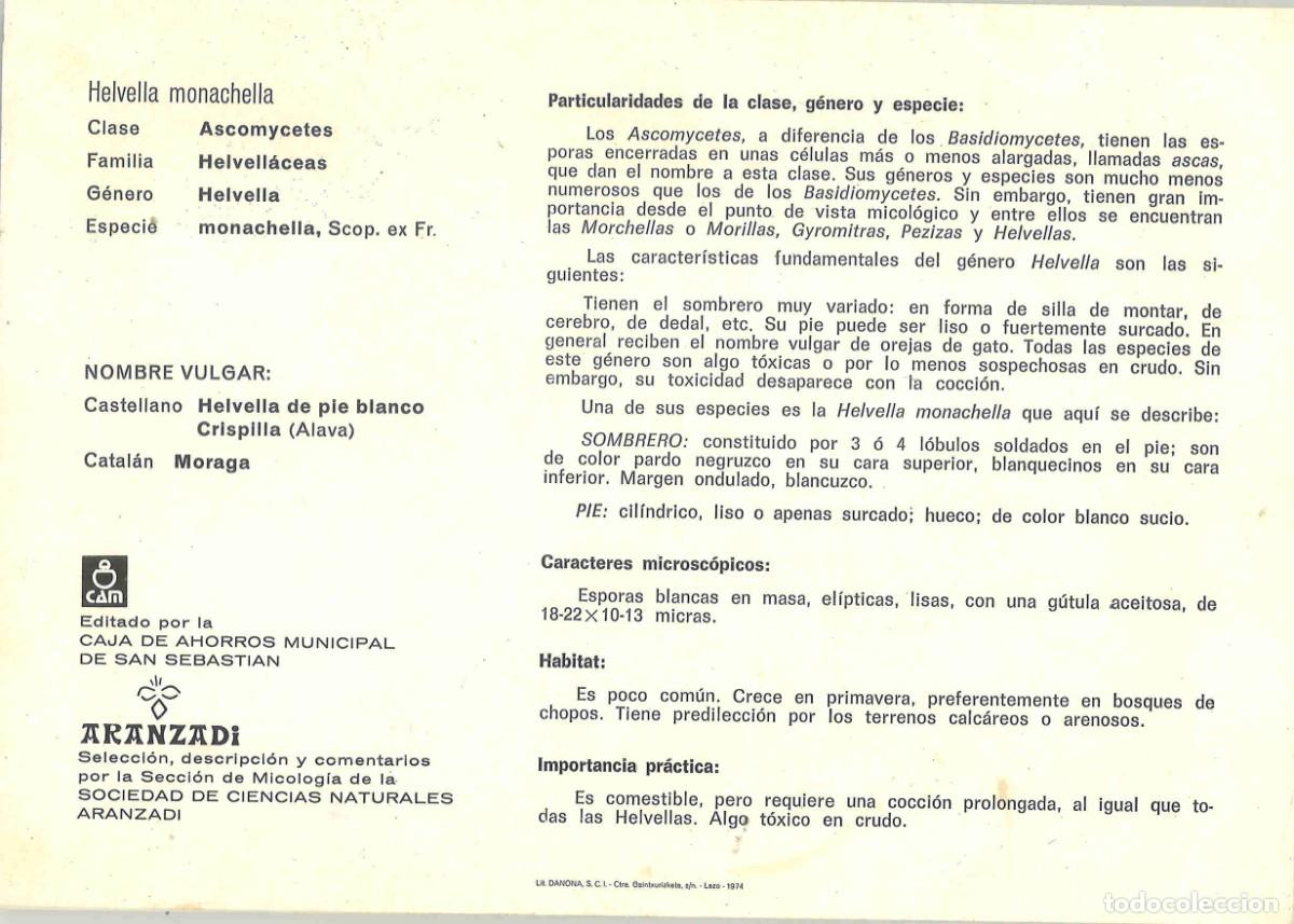 Libros de segunda mano: Setas del Pa&iacute;s Vasco. 1&ordf; y 2&ordf; serie. 1974 - Foto 4