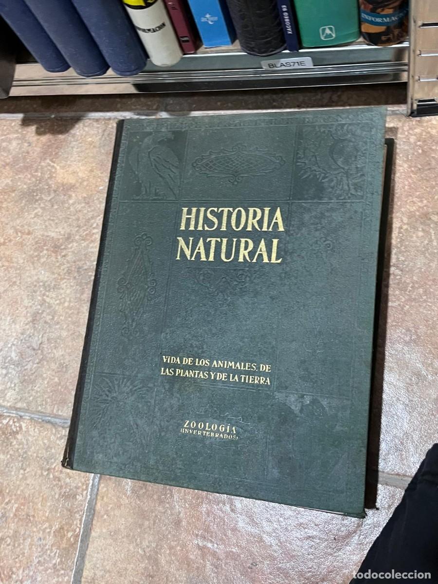 Libros de segunda mano: BLAS71E &ndash; Historia Natural. Zoolog&iacute;a: Invertebrados &mdash;