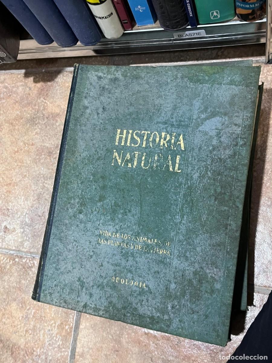 Libros de segunda mano: BLAS71E &ndash; Historia Natural. Geolog&iacute;a &mdash;