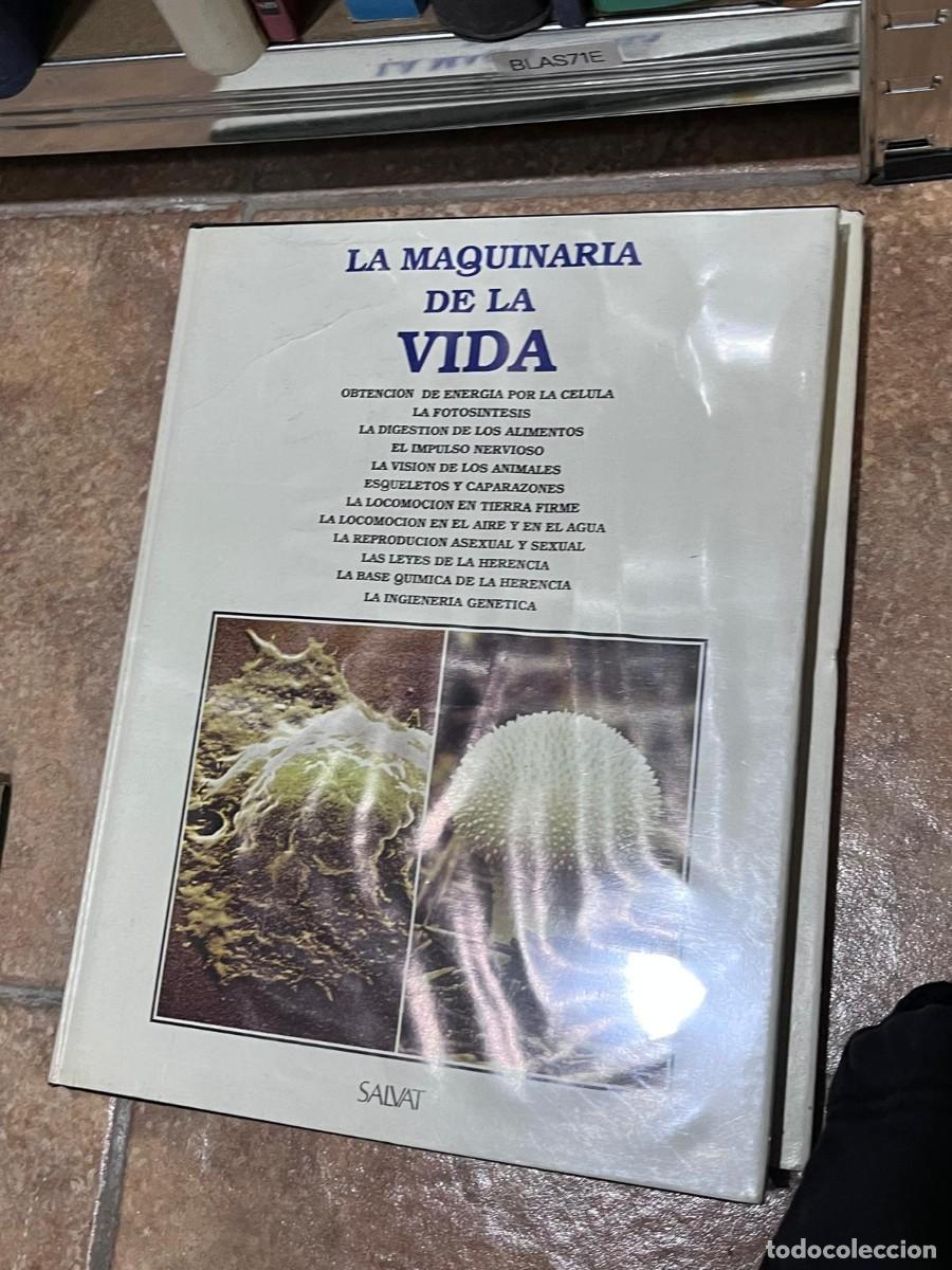 Libros de segunda mano: BLAS71E &ndash; La Maquinaria de la Vida (Salvat) - Foto 1