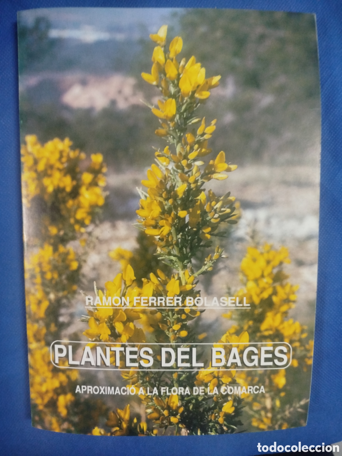 Libros de segunda mano: Ramon Ferrer Bolasell, Plantes del Bages
