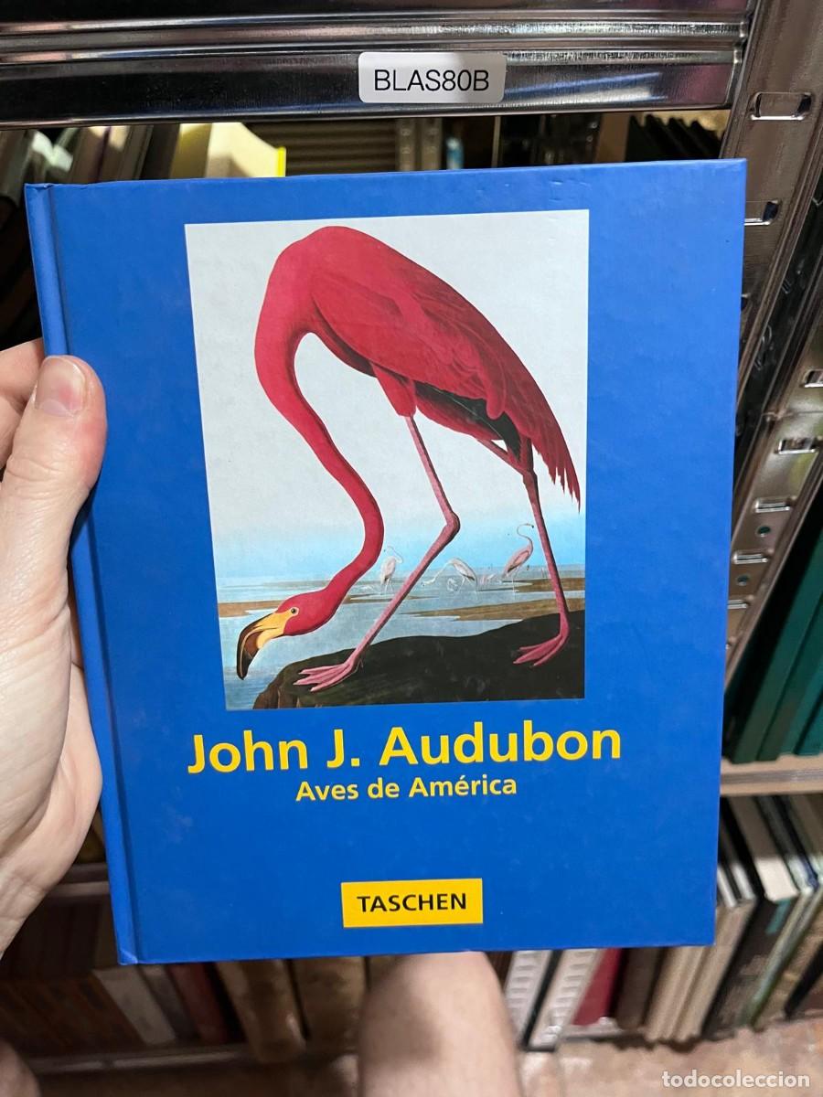 Libros de segunda mano: BLAS80B &ndash; John J. Audubon: Aves de Am&eacute;rica (Taschen).