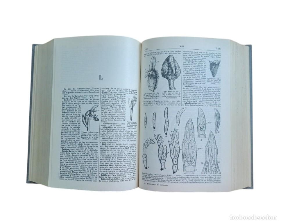 Libros de segunda mano: Font Quer, Dr. P.- DICCIONARIO DE BOT&Aacute;NICA - Foto 4