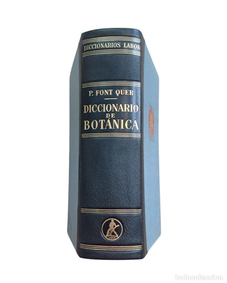 Libri di seconda mano: Font Quer, Dr. P.- DICCIONARIO DE BOT&Aacute;NICA