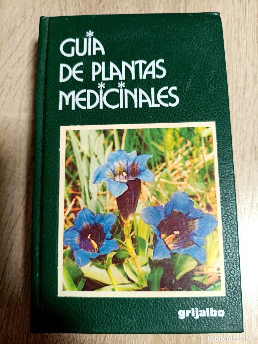Libros de segunda mano: LIBRO - GUIA DE PLANTAS MEDICINALES - TAPA DURA - GRIJALBO - 460 PAGINAS - ROBERTO CHIEJ