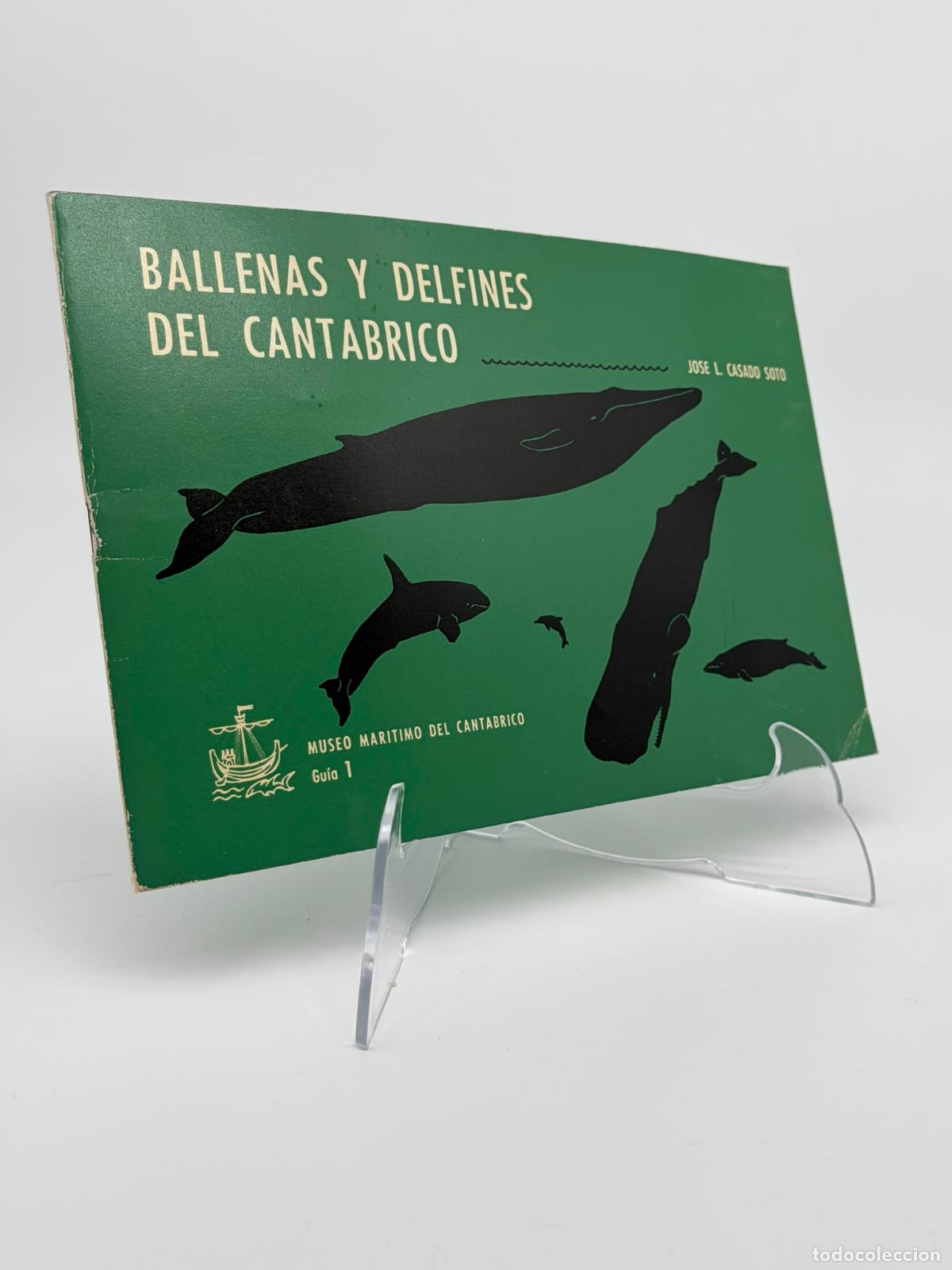 Libros de segunda mano: Ballenas y delfines del Cant&aacute;brico - Jos&eacute; L. Casado Soto