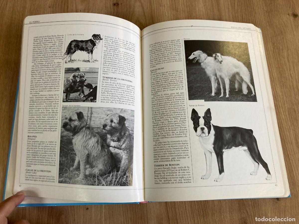 Libros de segunda mano: El perro Gu&iacute;a completa para su cuidado y cr&iacute;a - Foto 5