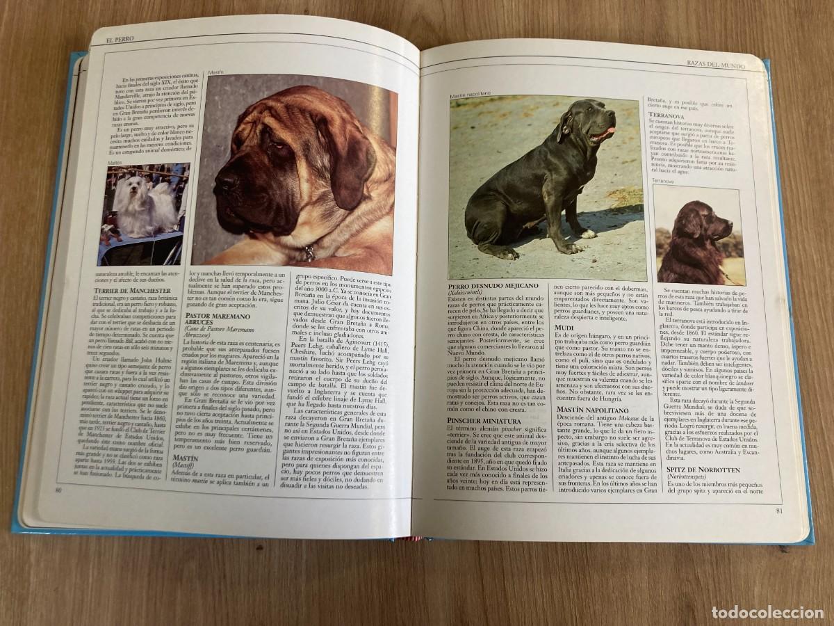 Libros de segunda mano: El perro Gu&iacute;a completa para su cuidado y cr&iacute;a - Foto 6