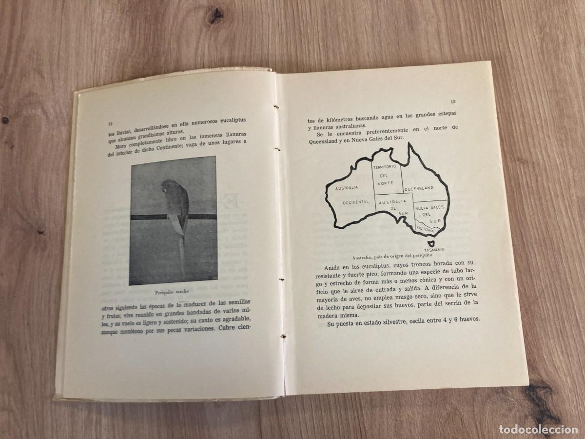 Libros de segunda mano: El Periquito Antonio y Juan Garau - Foto 5