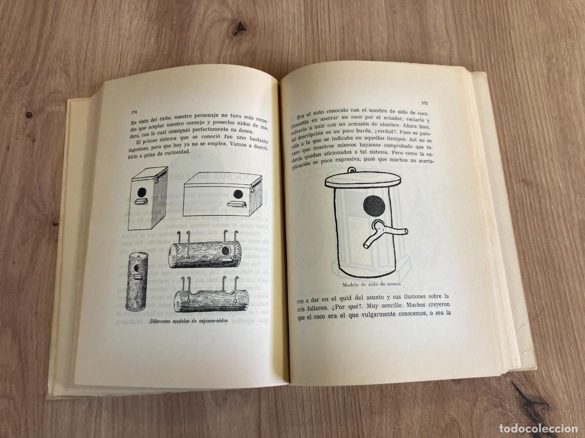Libros de segunda mano: El Periquito Antonio y Juan Garau - Foto 6