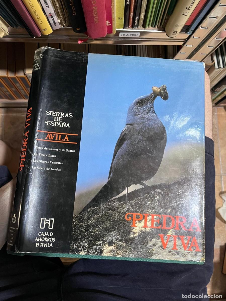 Libros de segunda mano: BLAS80C &ndash; Piedra Viva. Sierras de Espa&ntilde;a: &Aacute;vila. Gran volumen ilustrado de naturaleza y geograf&iacute;a.