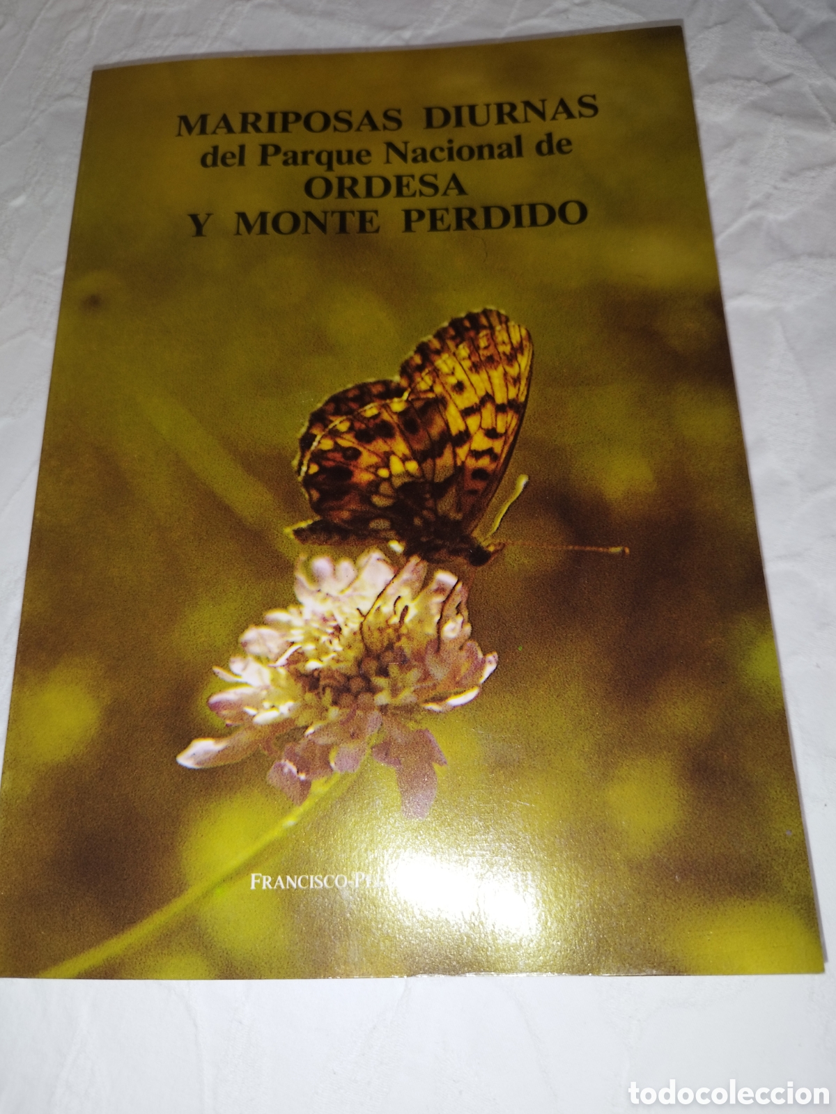 Libros de segunda mano: MARIPOSAS DIURNAS DEL PARQUE NACIONAL DE ORDESA Y MONTE PERDIDO. DGA, 1988 PRIMERA EDICION.