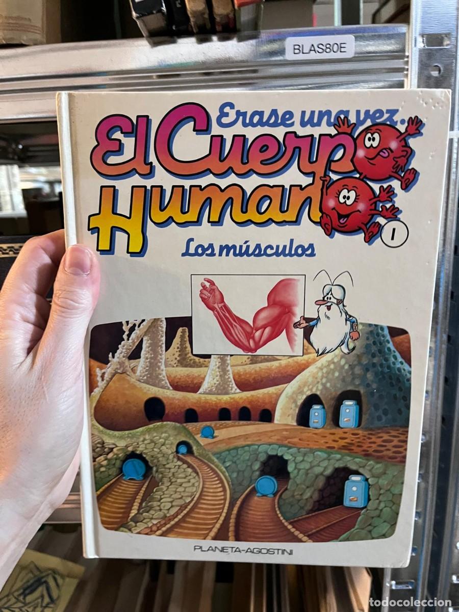 Libros de segunda mano: BLAS80E &mdash; &Eacute;rase una vez... El Cuerpo Humano n&ordm; 1: Los m&uacute;sculos &mdash; Albert Barill&eacute; &mdash; Planeta-Agostini &mdash;