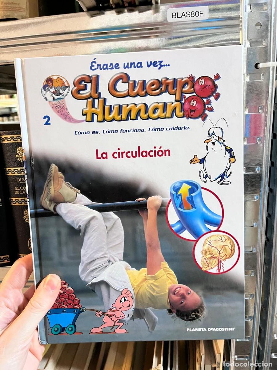Libros de segunda mano: BLAS80E &mdash; &Eacute;rase una vez... El Cuerpo Humano n&ordm; 2: La circulaci&oacute;n &mdash; Albert Barill&eacute; &mdash; Planeta-Agostini
