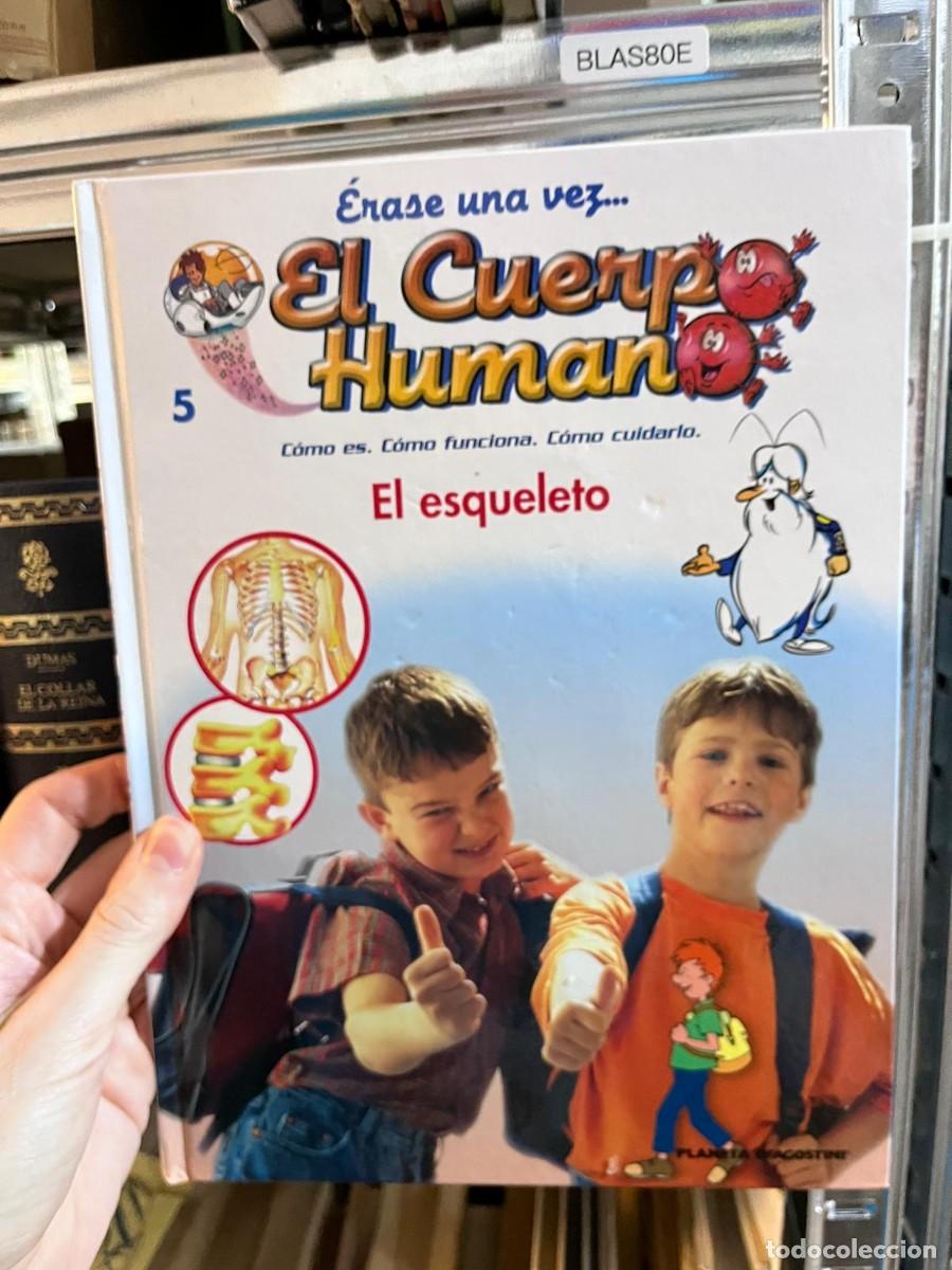 Libros de segunda mano: BLAS80E &mdash; &Eacute;rase una vez... El Cuerpo Humano n&ordm; 5: El esqueleto &mdash; Albert Barill&eacute; &mdash; Planeta-Agostini &mdash;