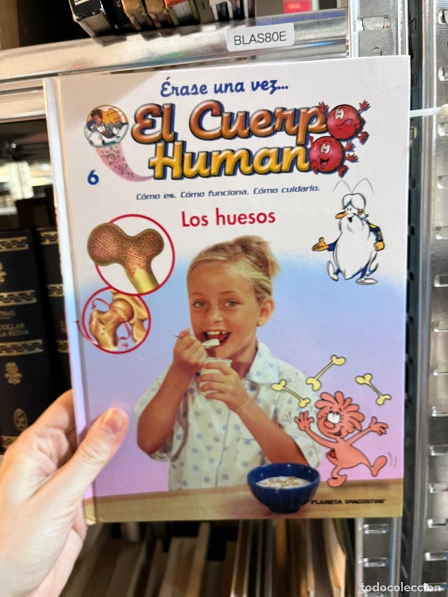 Libros de segunda mano: BLAS80E &mdash; &Eacute;rase una vez... El Cuerpo Humano n&ordm; 6: Los huesos &mdash; Albert Barill&eacute; &mdash; Planeta-Agostini &mdash;