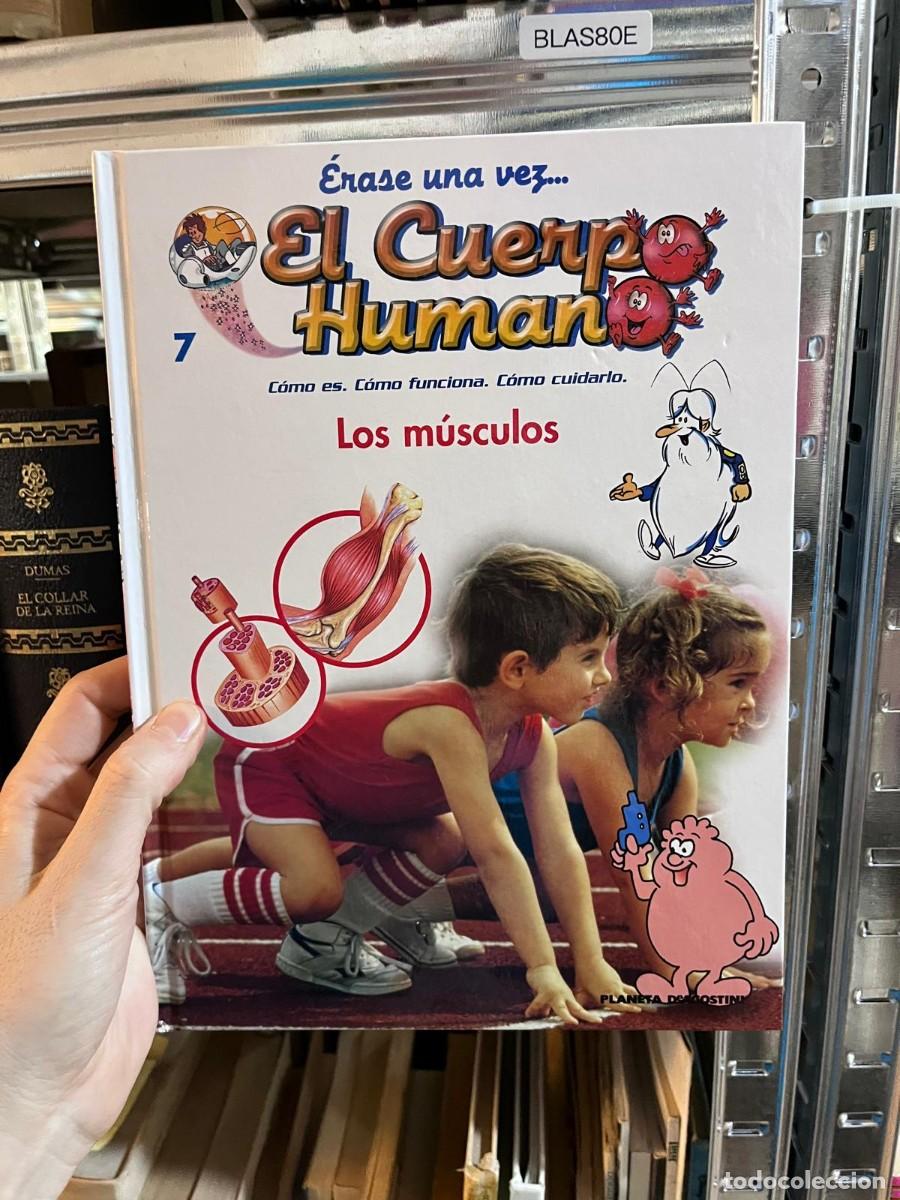 Libros de segunda mano: BLAS80E &mdash; &Eacute;rase una vez... El Cuerpo Humano n&ordm; 7: Los m&uacute;sculos &mdash; Albert Barill&eacute; &mdash; Planeta-Agostini &mdash;