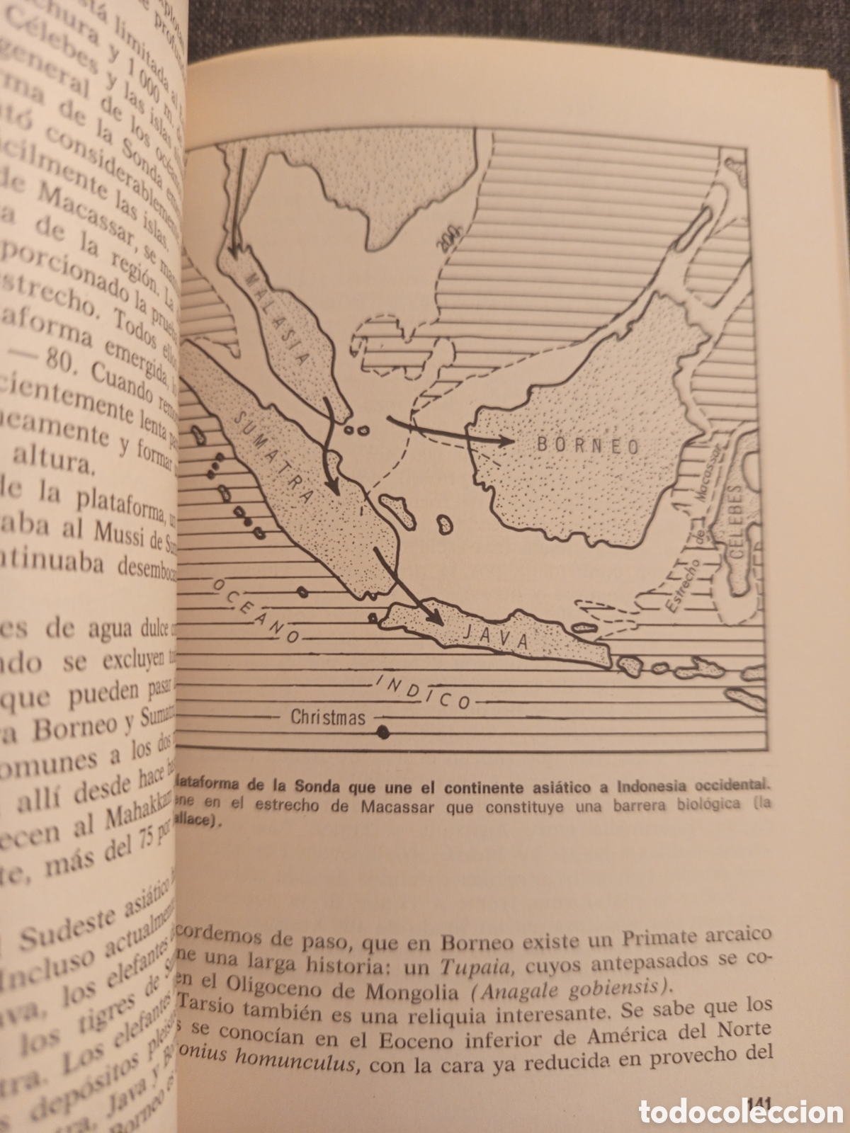 Libros de segunda mano: LA DISTRIBUCION DE LOS SERES (RAYMOND FURON) - Foto 5