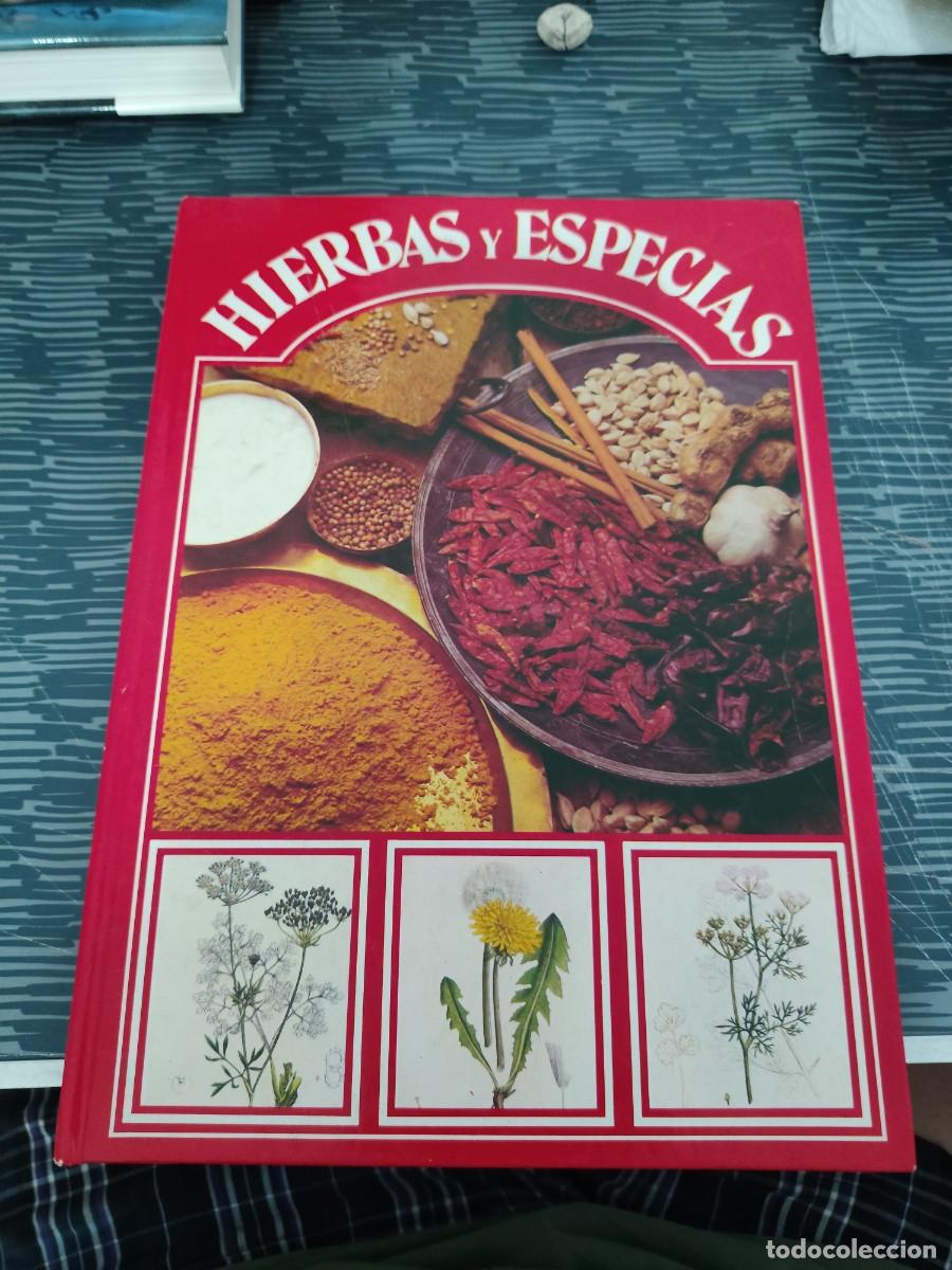 Libros de segunda mano: HIERBAS Y ESPECIAS,GEMINIS EDITORIAL,123 P&Aacute;GINAS,VER FOTOS Y SUMARIO.