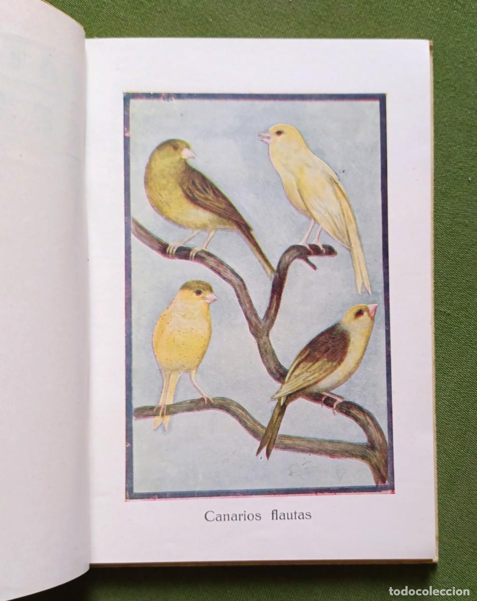 Libros de segunda mano: CAT&Aacute;LOGO GENERAL. DE AVES Y P&Aacute;JAROS DE CANTO Y LUJO. - Foto 2