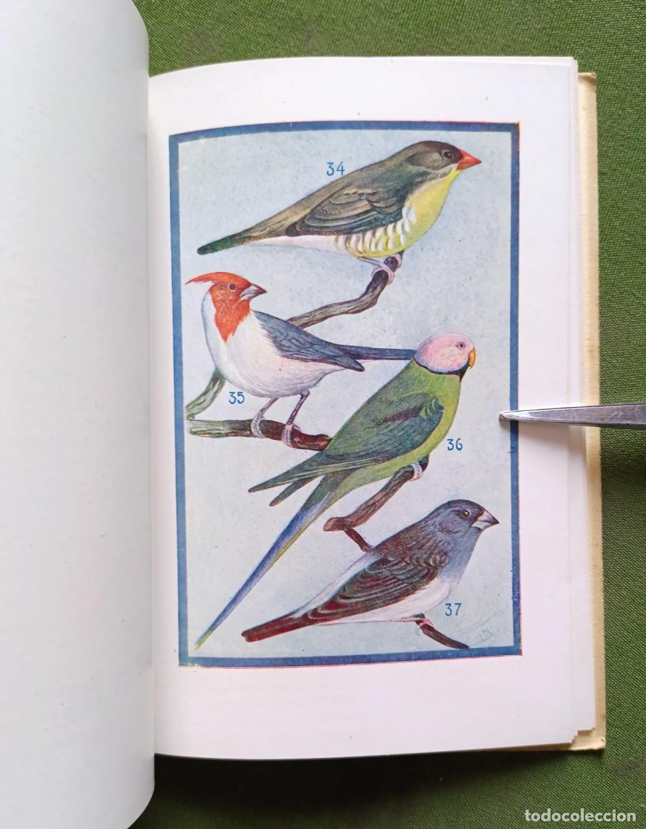 Libros de segunda mano: CAT&Aacute;LOGO GENERAL. DE AVES Y P&Aacute;JAROS DE CANTO Y LUJO. - Foto 3