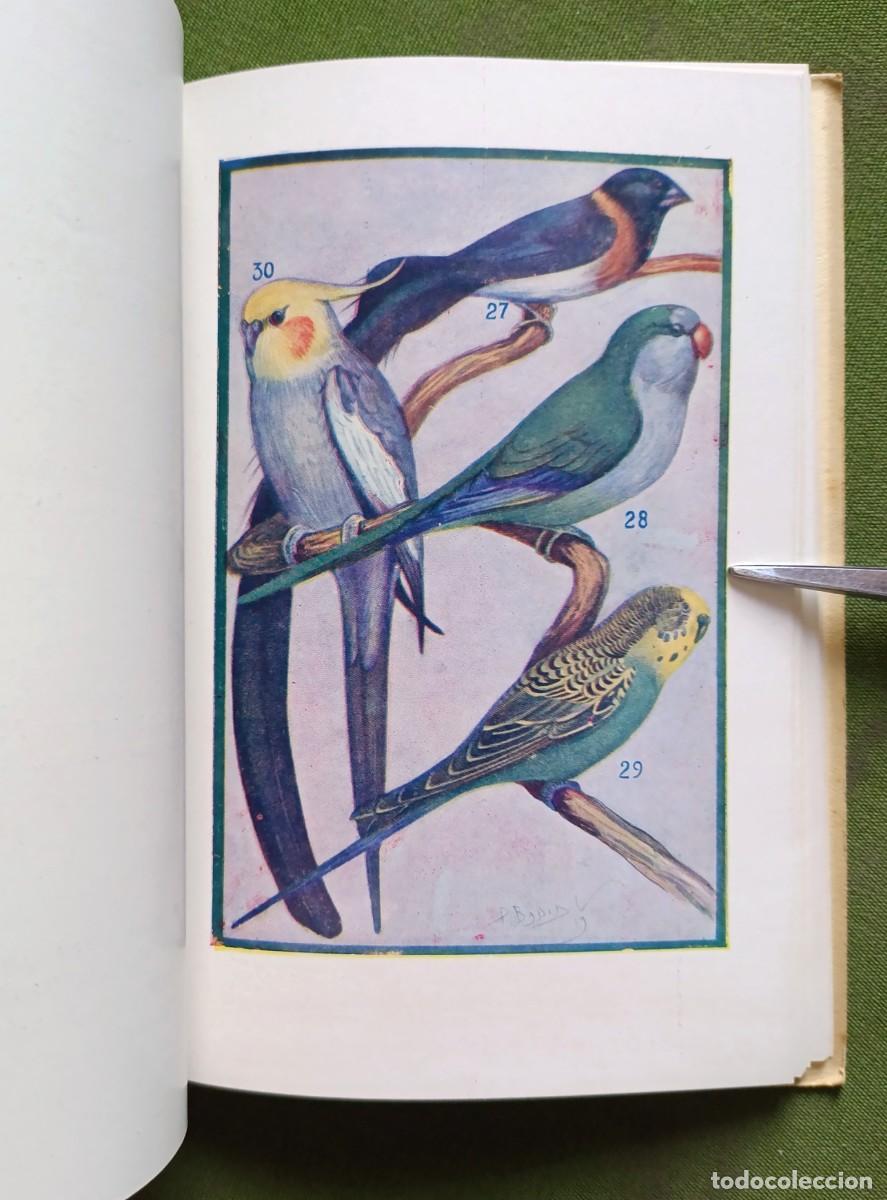 Libros de segunda mano: CAT&Aacute;LOGO GENERAL. DE AVES Y P&Aacute;JAROS DE CANTO Y LUJO. - Foto 4