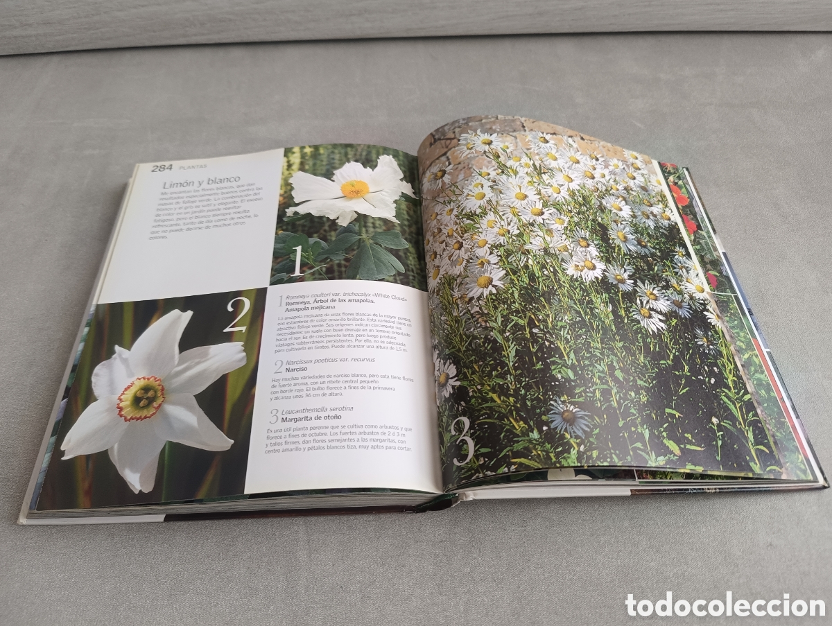 Libros de segunda mano: JARDINES PEQUE&Ntilde;OS. JOHN BROOKES - Foto 9