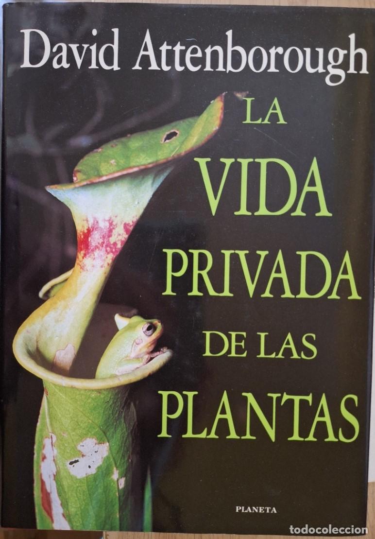 Libros de segunda mano: LA VIDA PRIVADA DE LAS PLANTAS. - ATTENBOROUGH, David.