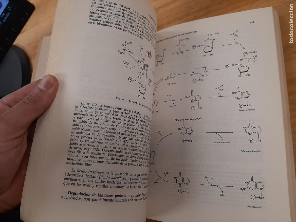 Libros de segunda mano: Manual de Bioqu&iacute;mica - Peter Karlson - Editorial Mar&iacute;n, 1976 - Foto 11