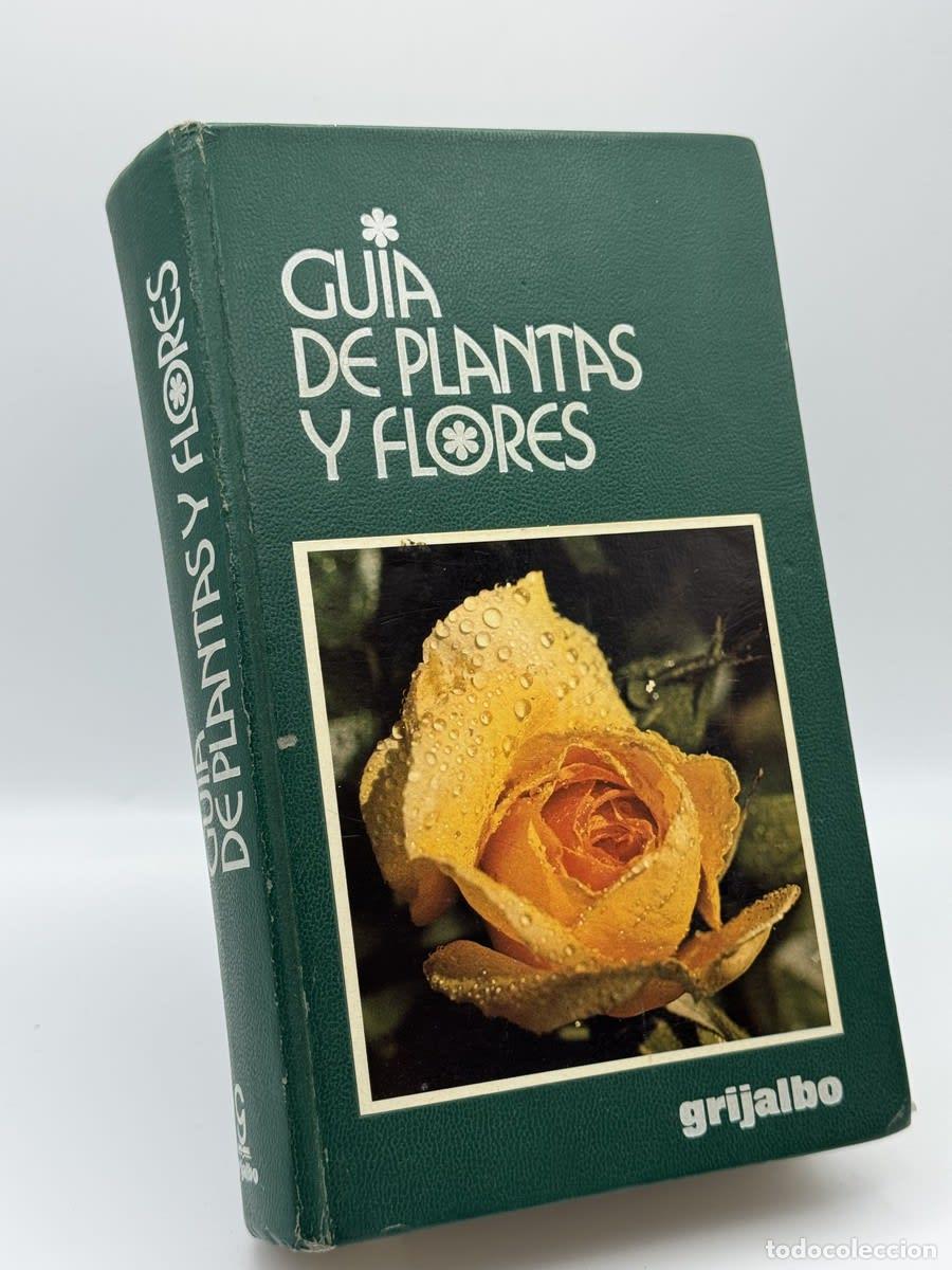 Libros de segunda mano: Gu&iacute;a de plantas y flores - Francesco Bianchini - Francesco Bianchini, Azzurra Carrara Pantano