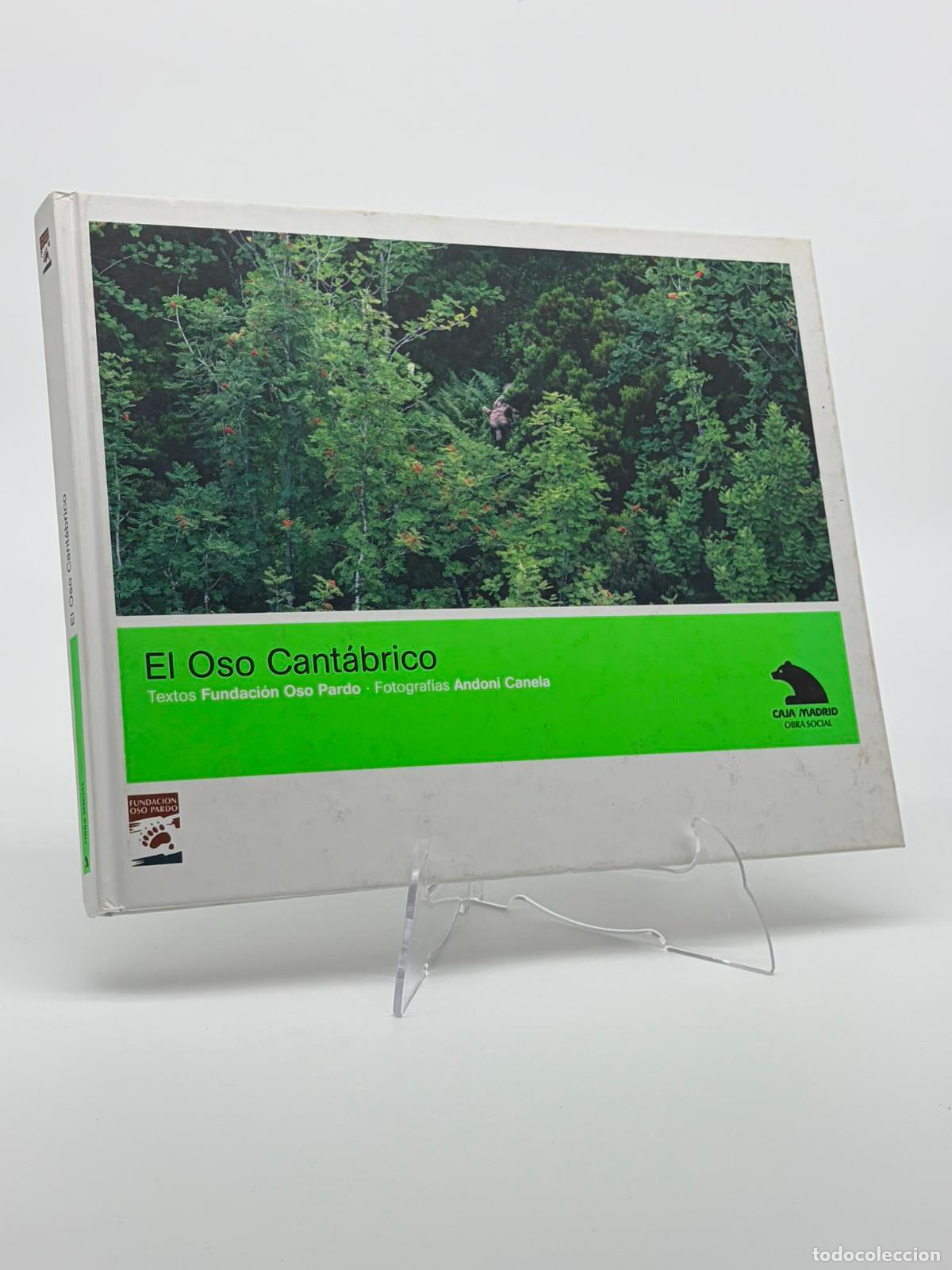 Libros de segunda mano: EL OSO CANT&Aacute;BRICO. FUNDACI&Oacute;N OSO PARDO. CAZA