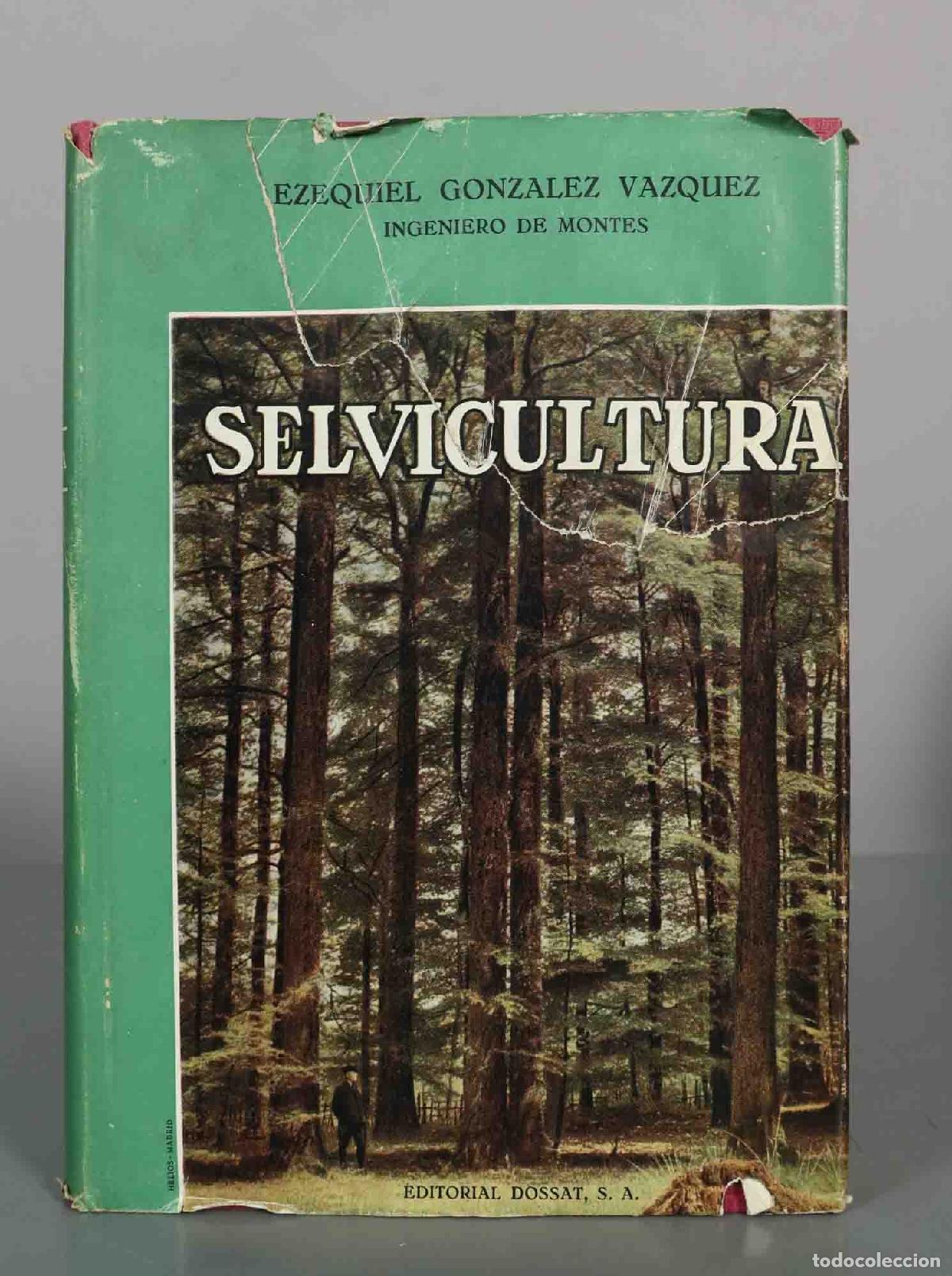 Libros de segunda mano: Selvicultura - Ezequiel Gonzalez Vazquez - Editorial Dossat, S. A.