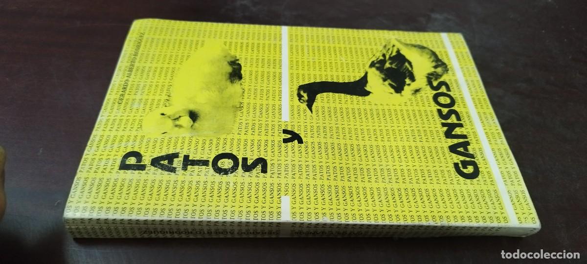 Libros de segunda mano: PATOS Y GANSOS / GERARDO ALBERTO RODRIGUEZ / PU-B&Ntilde;-1 / ORIENTACION GRAFICA EDITORA /