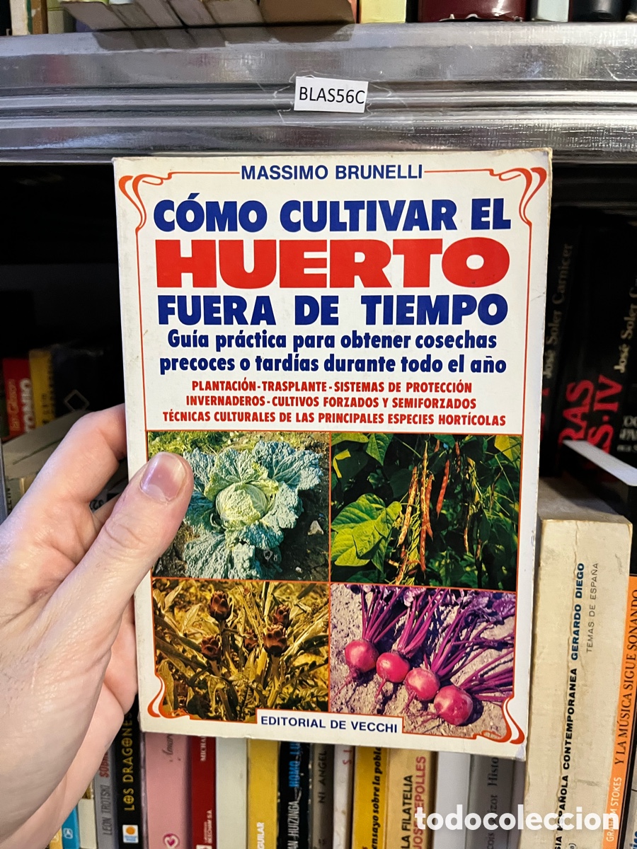 Libros de segunda mano: Blas56C C&oacute;mo cultivar el huerto fuera de tiempo - Massimo Brunelli - De Vecchi -