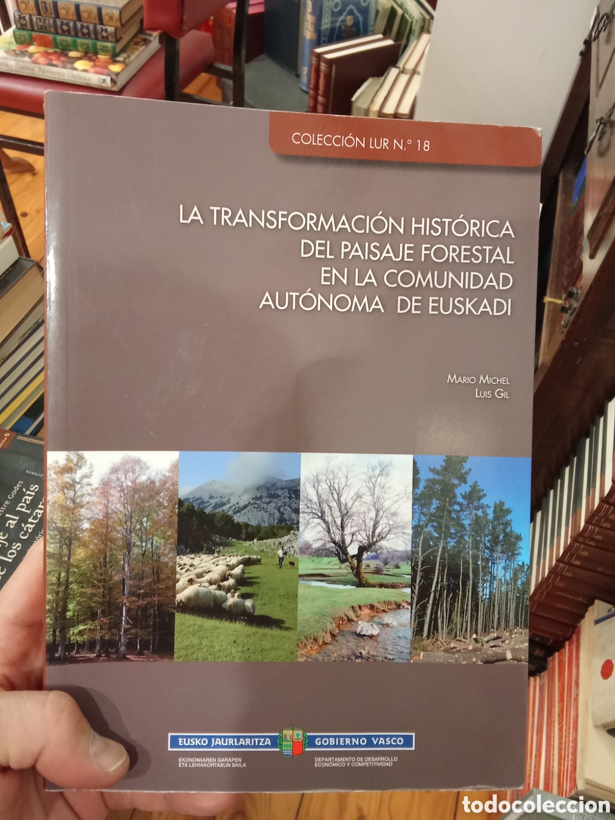 Libros de segunda mano: La transformaci&oacute;n hist&oacute;rica del paisaje forestal en la Comunidad Aut&oacute;noma de Euskadi