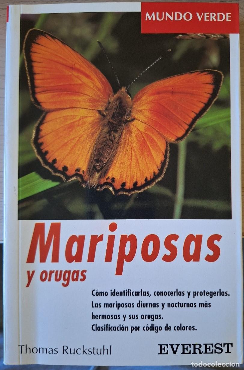 Libros de segunda mano: MARIPOSAS Y ORUGAS. - RUCKSTUHL, Thomas.