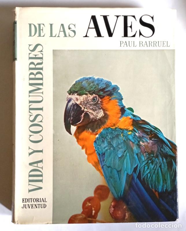 Libros de segunda mano: VIDA Y COSTUMBRES DE LAS AVES - PAUL BARRUEL - EDITORIALJUVENTUD. 1965