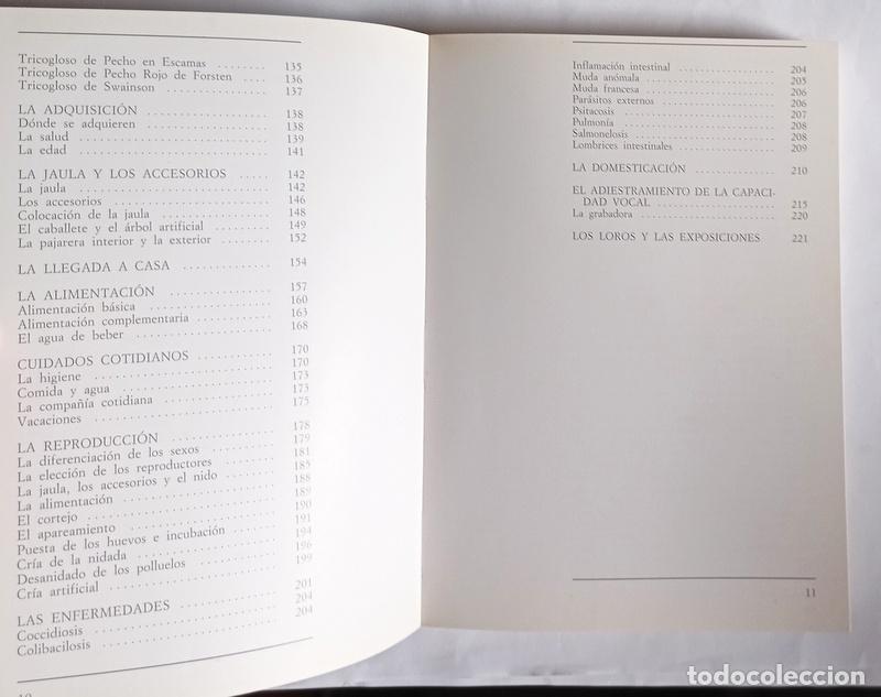 Libros de segunda mano: EL GRAN LIBRO ILUSTRADO DE LOS LOROS - ELISABETTA GISMONDI - Foto 7