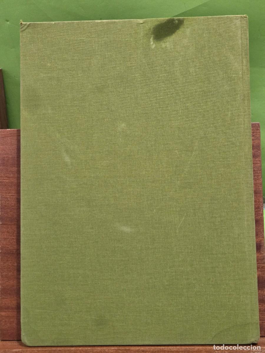 Libros de segunda mano: &rdquo;&rdquo;ESPACIOS NATURALES DE CASTILLA Y LE&Oacute;N&rdquo;&rdquo;...JUNTA DE CASTILLA Y LE&Oacute;N...EDILESA... - Foto 2