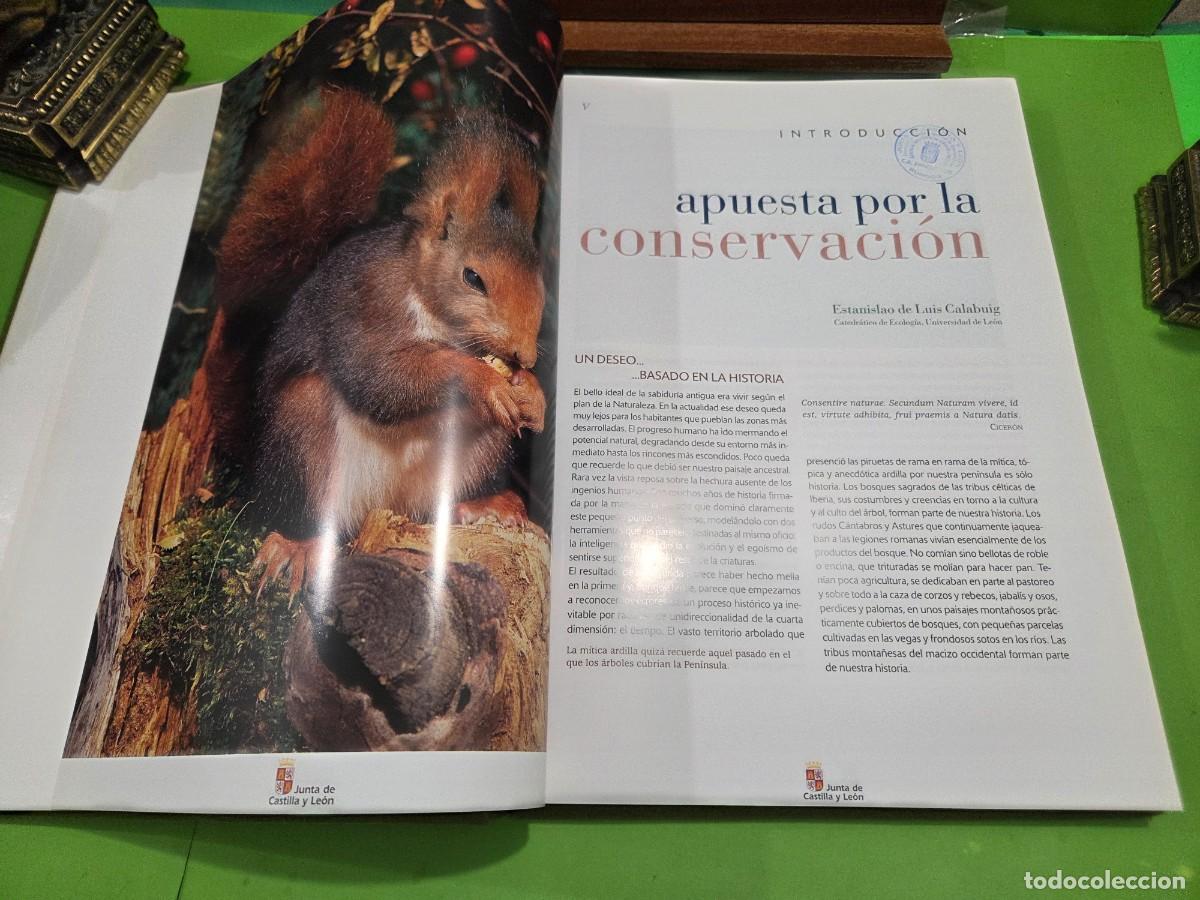 Libros de segunda mano: &rdquo;&rdquo;ESPACIOS NATURALES DE CASTILLA Y LE&Oacute;N&rdquo;&rdquo;...JUNTA DE CASTILLA Y LE&Oacute;N...EDILESA... - Foto 6