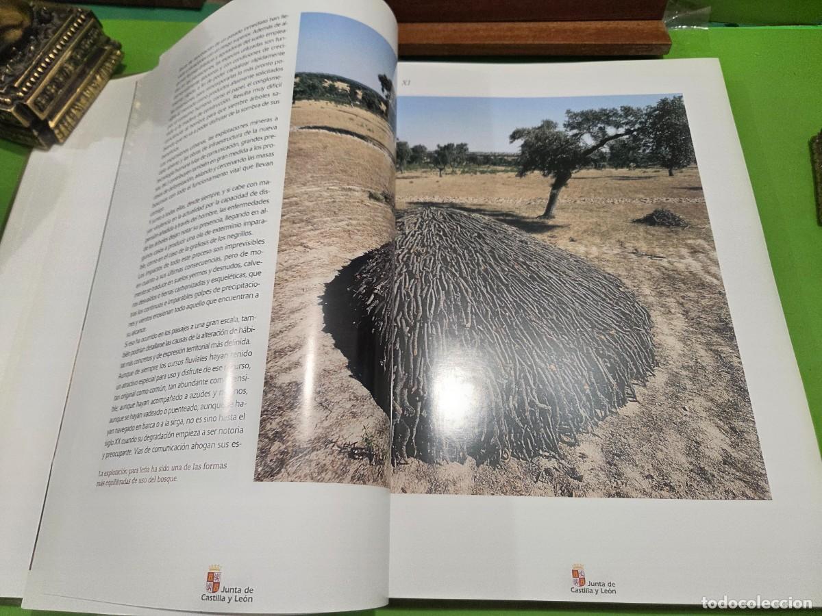 Libros de segunda mano: &rdquo;&rdquo;ESPACIOS NATURALES DE CASTILLA Y LE&Oacute;N&rdquo;&rdquo;...JUNTA DE CASTILLA Y LE&Oacute;N...EDILESA... - Foto 7
