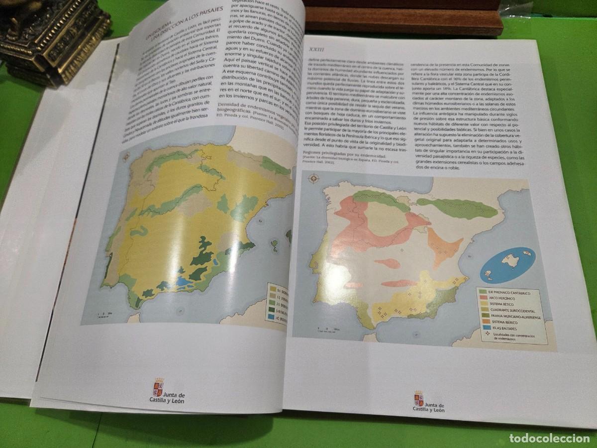 Libros de segunda mano: &rdquo;&rdquo;ESPACIOS NATURALES DE CASTILLA Y LE&Oacute;N&rdquo;&rdquo;...JUNTA DE CASTILLA Y LE&Oacute;N...EDILESA... - Foto 8