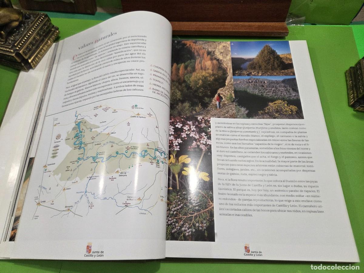 Libros de segunda mano: &rdquo;&rdquo;ESPACIOS NATURALES DE CASTILLA Y LE&Oacute;N&rdquo;&rdquo;...JUNTA DE CASTILLA Y LE&Oacute;N...EDILESA... - Foto 13