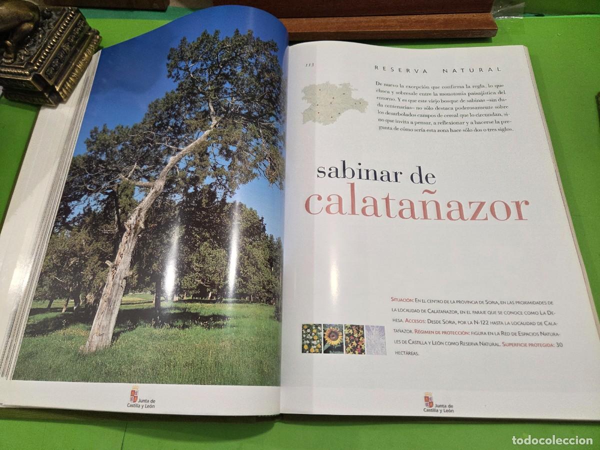 Libros de segunda mano: &rdquo;&rdquo;ESPACIOS NATURALES DE CASTILLA Y LE&Oacute;N&rdquo;&rdquo;...JUNTA DE CASTILLA Y LE&Oacute;N...EDILESA... - Foto 18