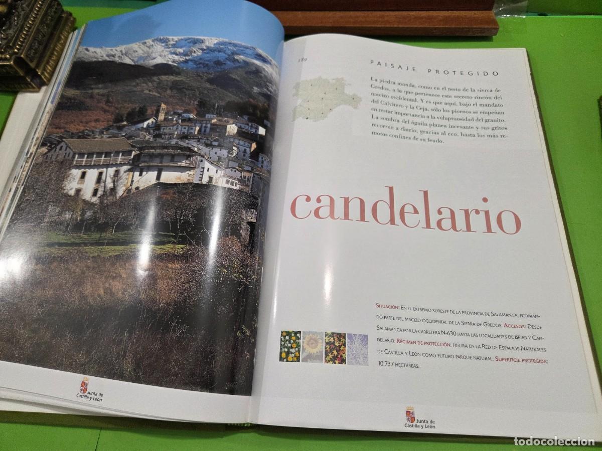 Libros de segunda mano: &rdquo;&rdquo;ESPACIOS NATURALES DE CASTILLA Y LE&Oacute;N&rdquo;&rdquo;...JUNTA DE CASTILLA Y LE&Oacute;N...EDILESA... - Foto 19