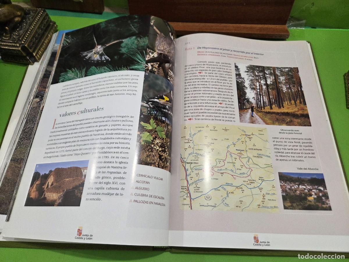 Libros de segunda mano: &rdquo;&rdquo;ESPACIOS NATURALES DE CASTILLA Y LE&Oacute;N&rdquo;&rdquo;...JUNTA DE CASTILLA Y LE&Oacute;N...EDILESA... - Foto 20