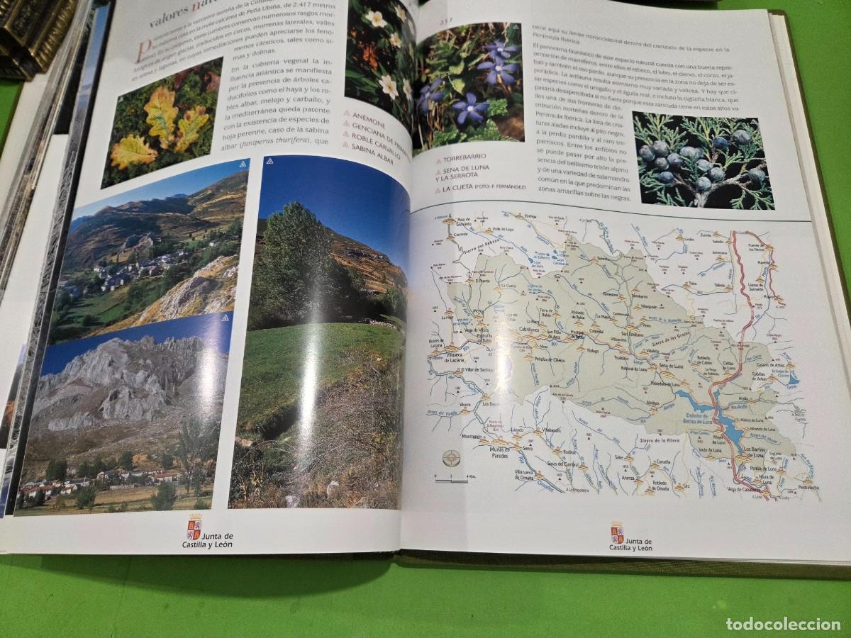 Libros de segunda mano: &rdquo;&rdquo;ESPACIOS NATURALES DE CASTILLA Y LE&Oacute;N&rdquo;&rdquo;...JUNTA DE CASTILLA Y LE&Oacute;N...EDILESA... - Foto 22