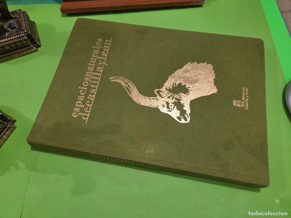 Libros de segunda mano: &rdquo;&rdquo;ESPACIOS NATURALES DE CASTILLA Y LE&Oacute;N&rdquo;&rdquo;...JUNTA DE CASTILLA Y LE&Oacute;N...EDILESA... - Foto 26